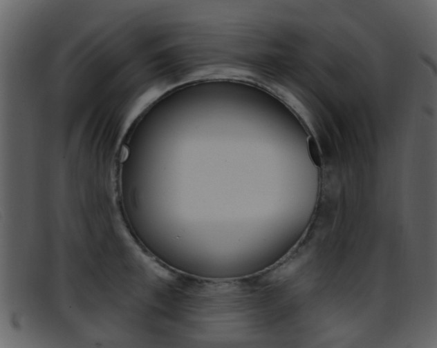X0000096660997200802050952