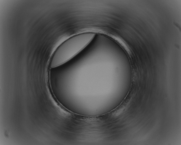X0000096660999200802050952