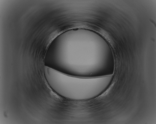 X0000096661001200802050952