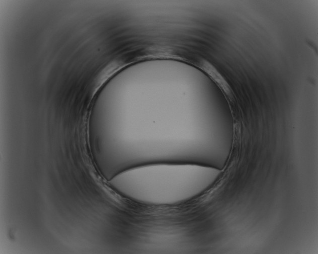 X0000096661002200802050952