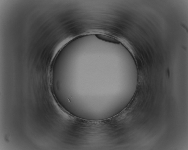 X0000096661003200802050952