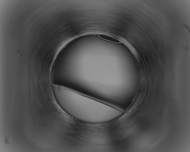 X0000096661004200802050952