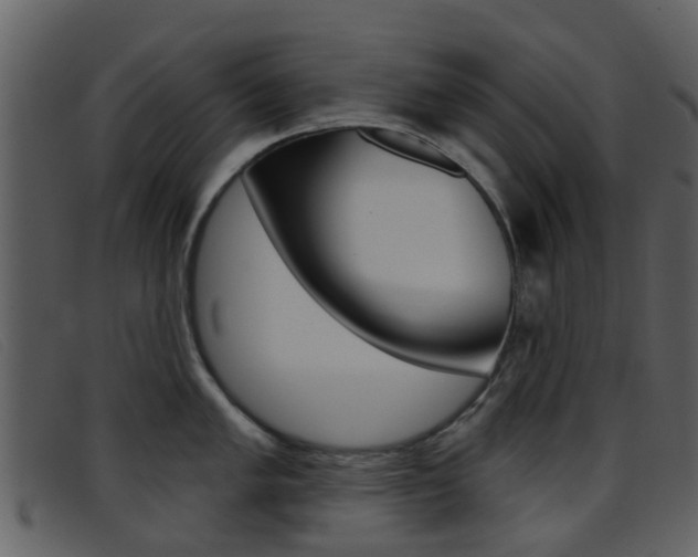 X0000096661005200802050952