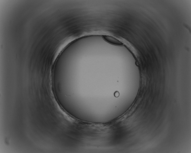 X0000096661006200802050952