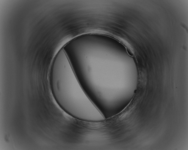 X0000096661007200802050952