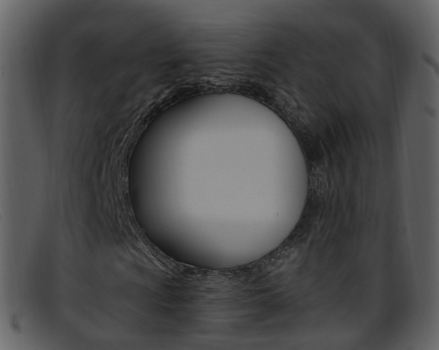 X0000096661009200802050951