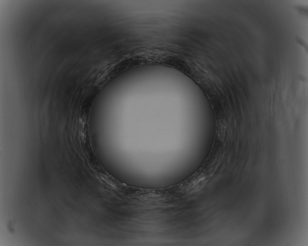 X0000096661010200802050951
