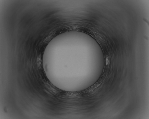 X0000096661011200802050951