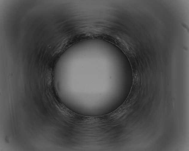 X0000096661012200802050951