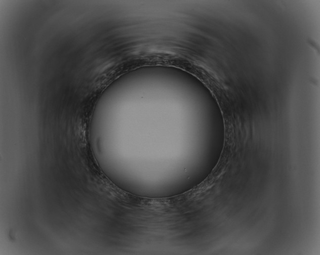 X0000096661013200802050951