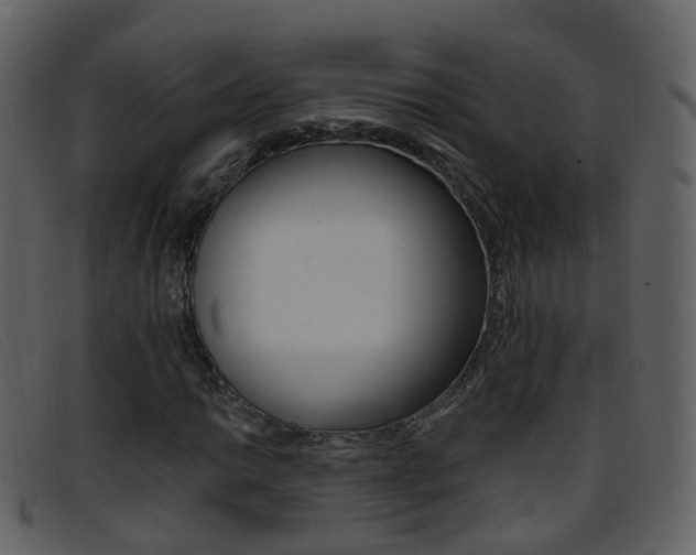 X0000096661014200802050951