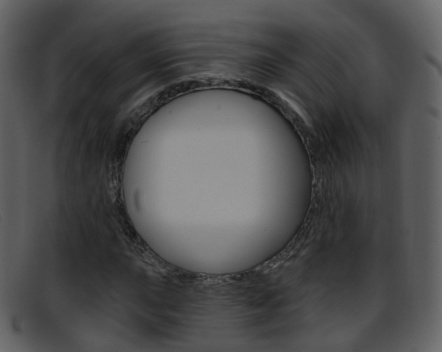 X0000096661015200802050951