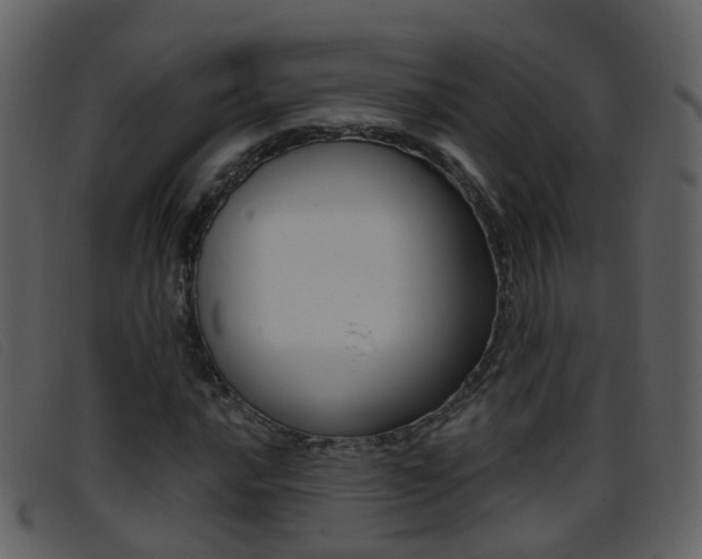X0000096661016200802050951
