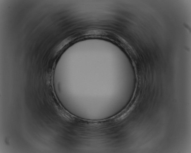 X0000096661017200802050951