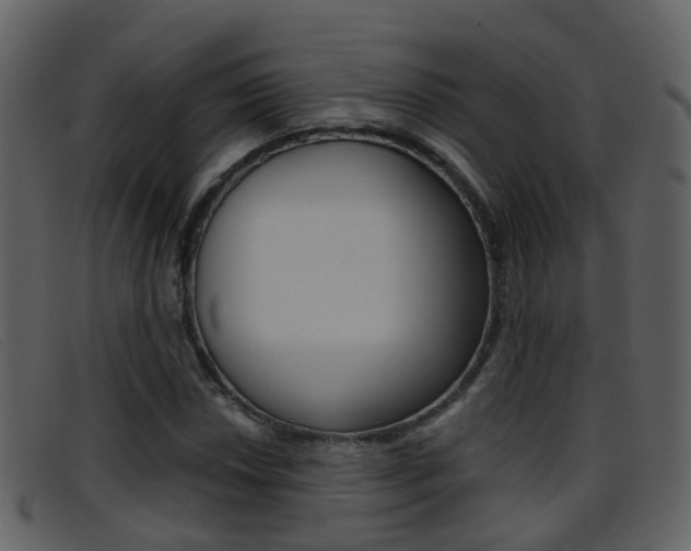 X0000096661018200802050951