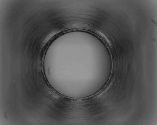X0000096661019200802050951