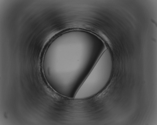 X0000096661020200802050951