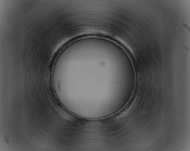 X0000096661021200802050951