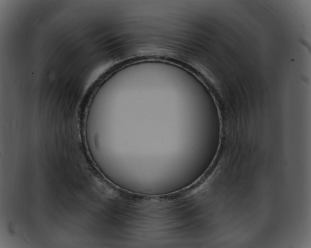 X0000096661022200802050951