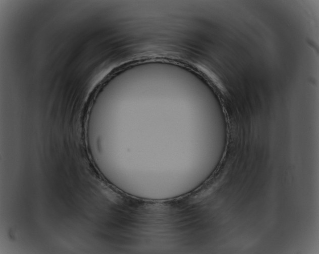 X0000096661023200802050951