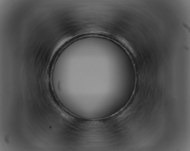 X0000096661024200802050951