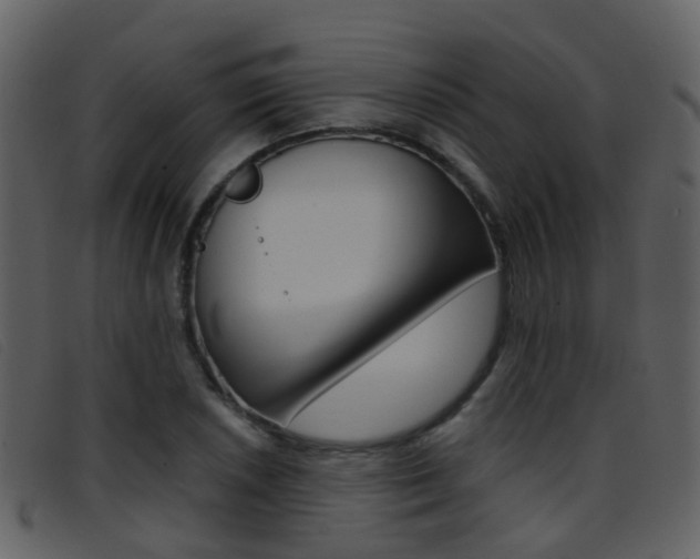 X0000096661026200802050951