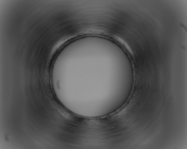 X0000096661027200802050951