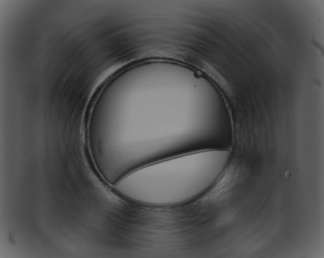 X0000096661028200802050952