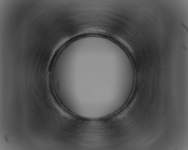X0000096661029200802050952