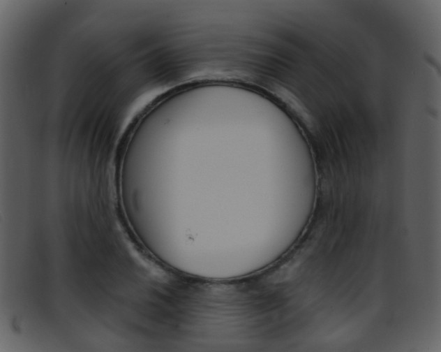 X0000096661030200802050952