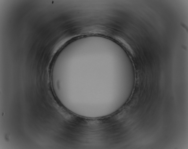 X0000096661031200802050952