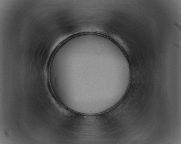 X0000096661032200802050952
