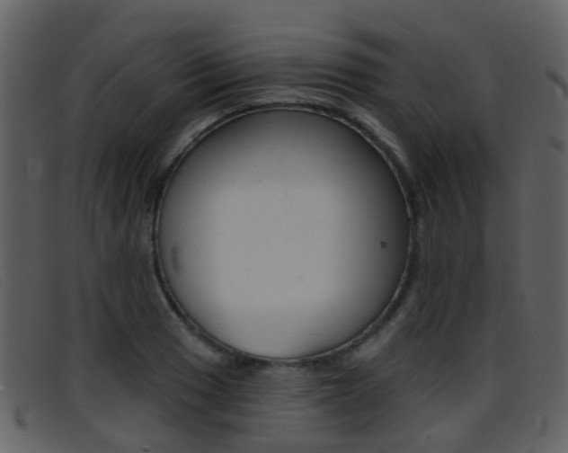X0000096661033200802050952