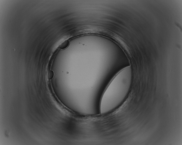 X0000096661034200802050952