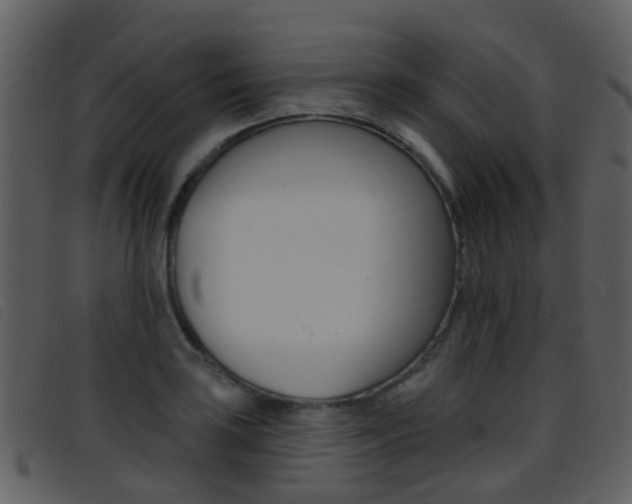 X0000096661035200802050952