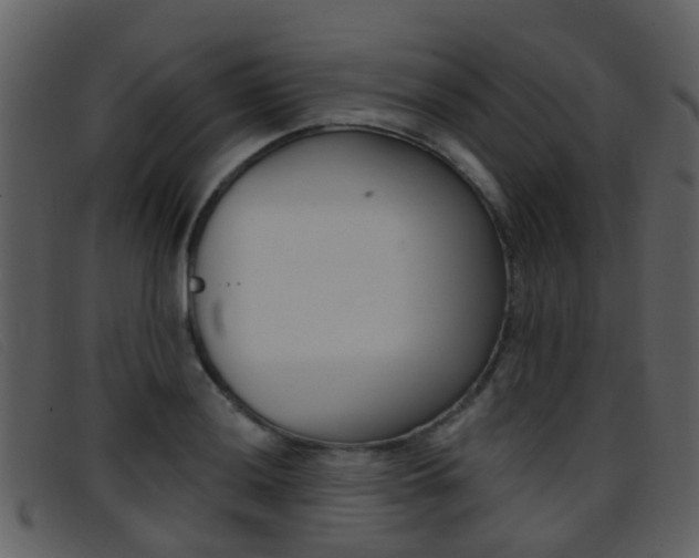 X0000096661036200802050952