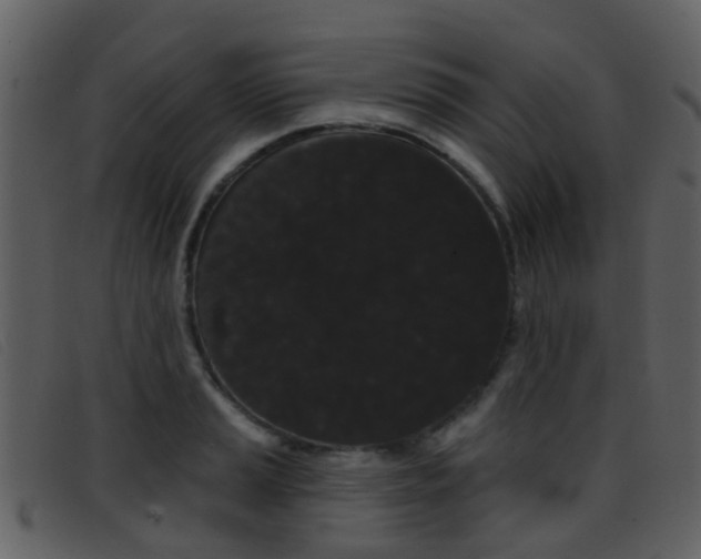 X0000096661037200802050952
