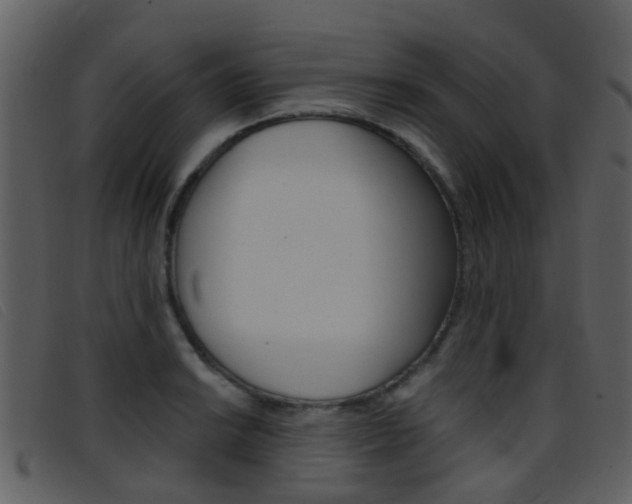 X0000096661038200802050952