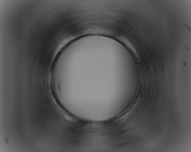 X0000096661040200802050952