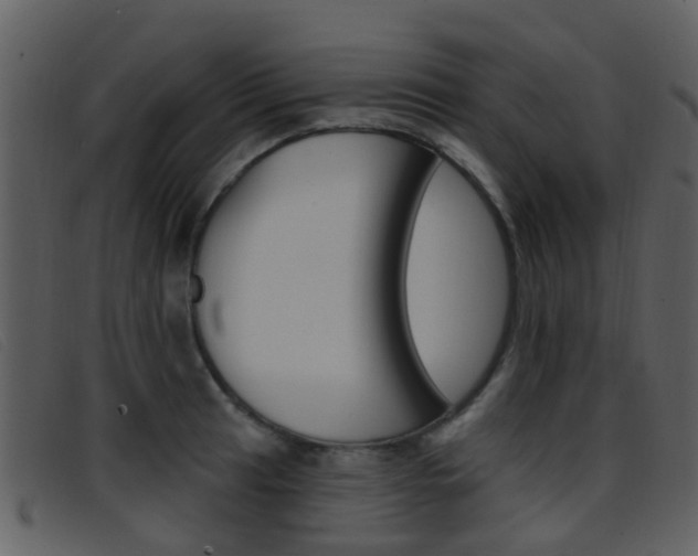 X0000096661041200802050952