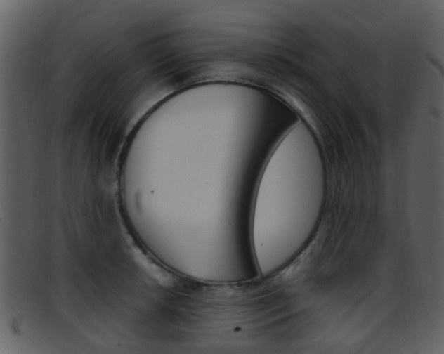 X0000096661042200802050952