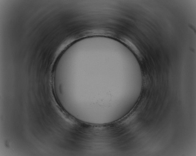 X0000096661043200802050952