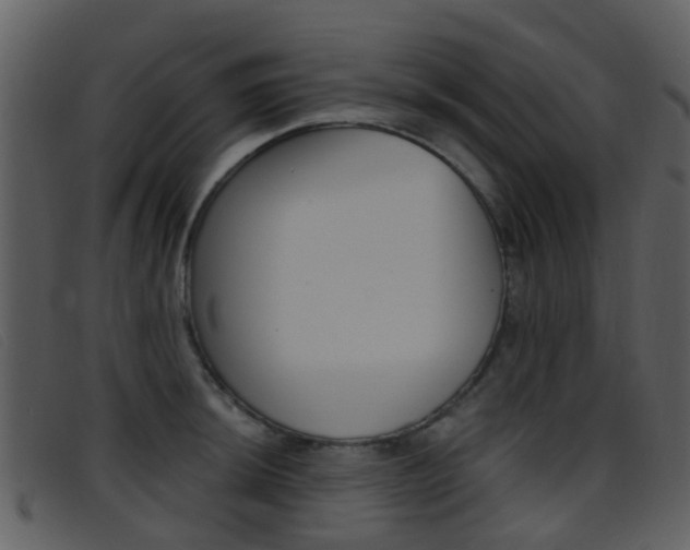 X0000096661044200802050952
