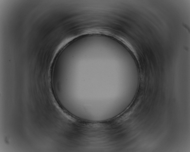 X0000096661045200802050952