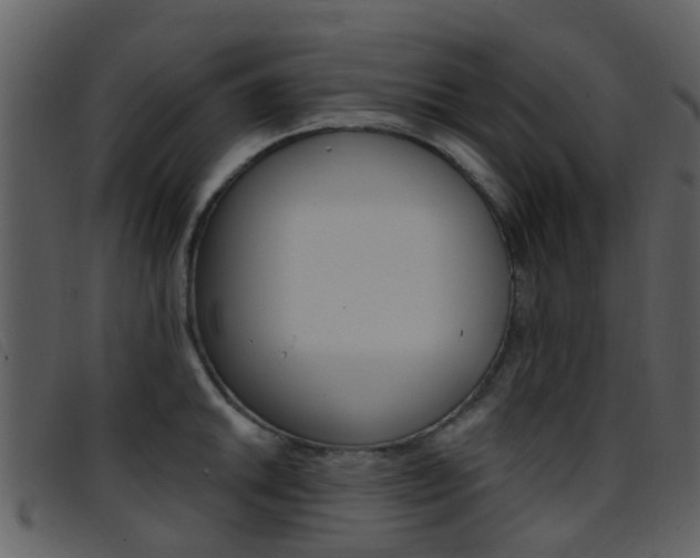 X0000096661046200802050952