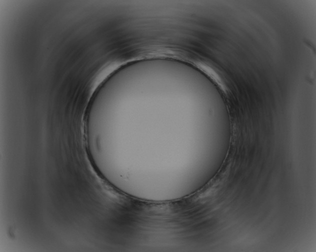 X0000096661047200802050952