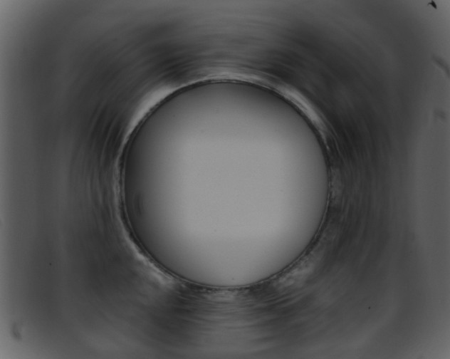 X0000096661048200802050952