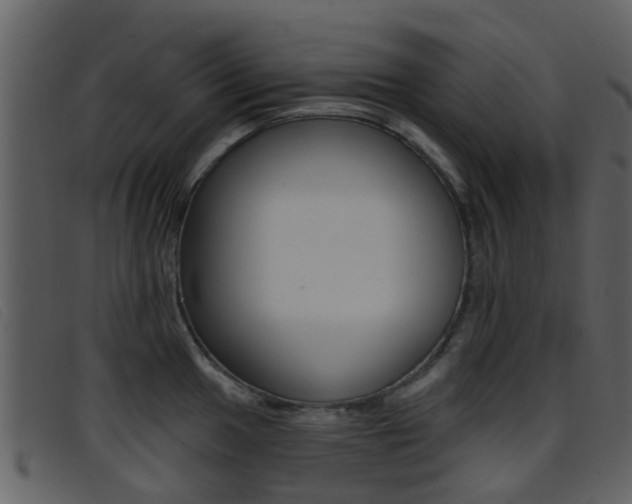 X0000096661049200802050952
