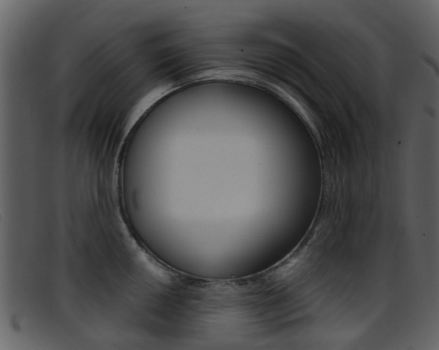 X0000096661050200802050952