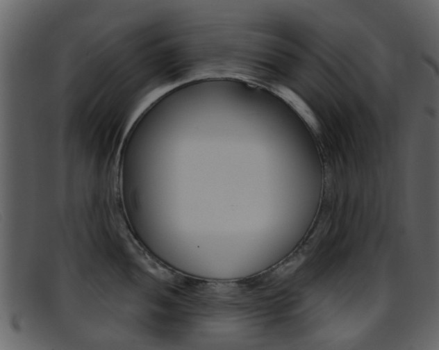 X0000096661052200802050952